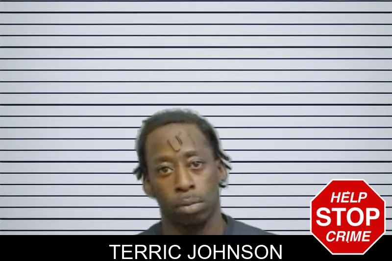 Terric Johnson mugshot