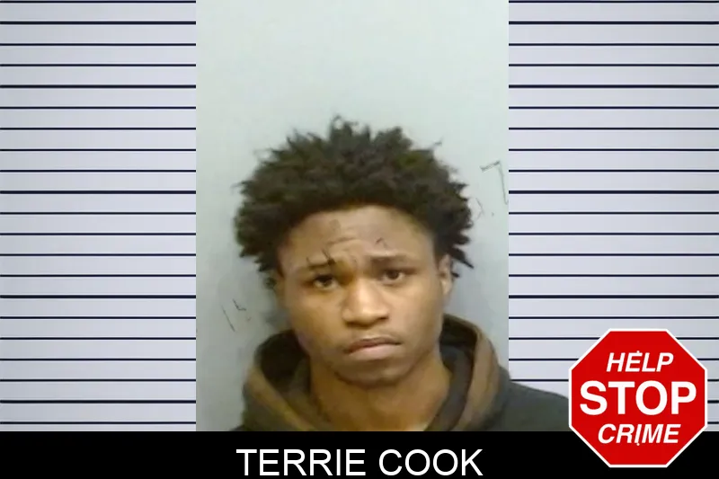 Terrie Cook mugshot