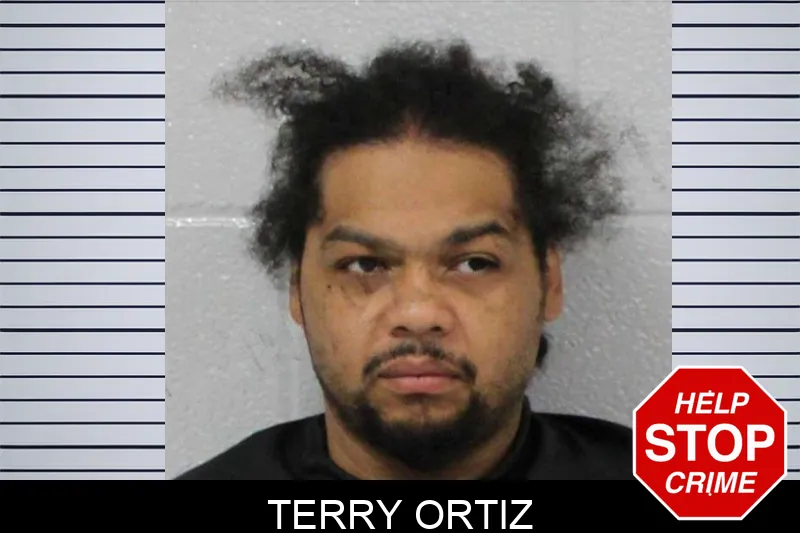 Terry Ortiz mugshot