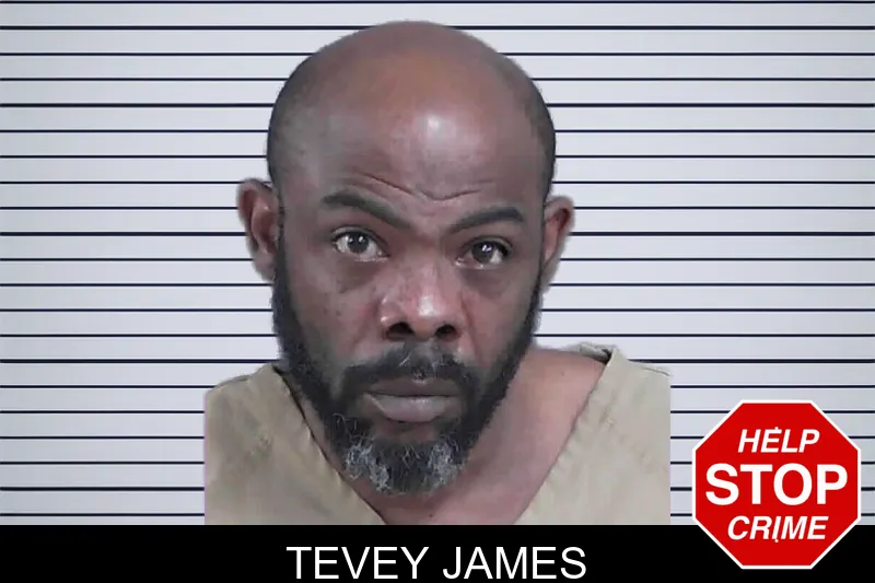 Tevey James mugshot