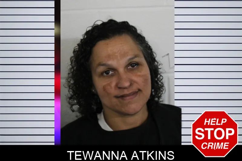 Tewanna Atkins mugshot