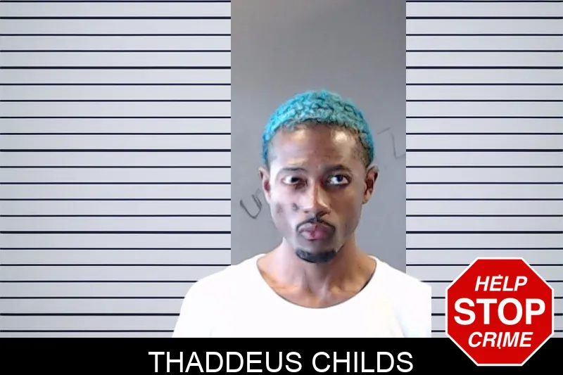 Thaddeus Childs mugshot