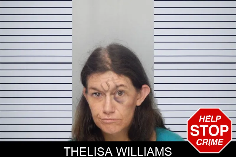 Thelisa Williams mugshot
