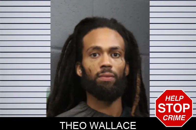 Theo Wallace mugshot