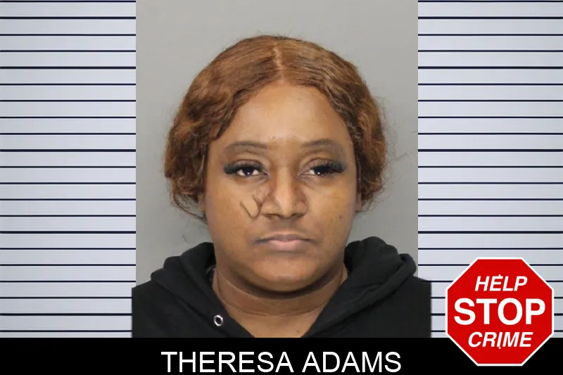 Theresa Adams mugshot