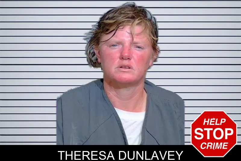 Theresa Dunlavey mugshot