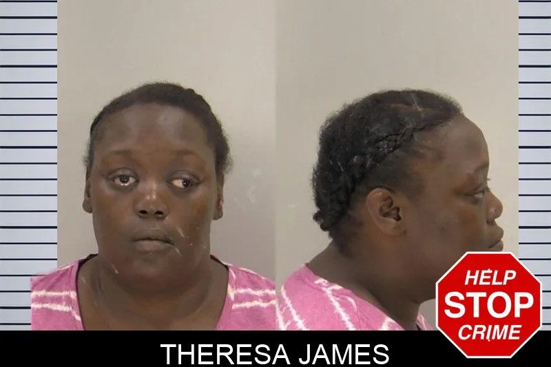 Theresa James mugshot