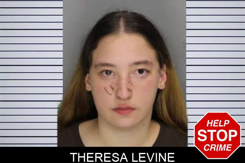 Theresa Levine mugshot