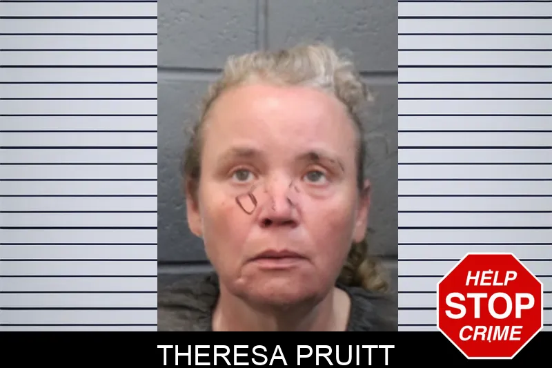 Theresa Pruitt mugshot