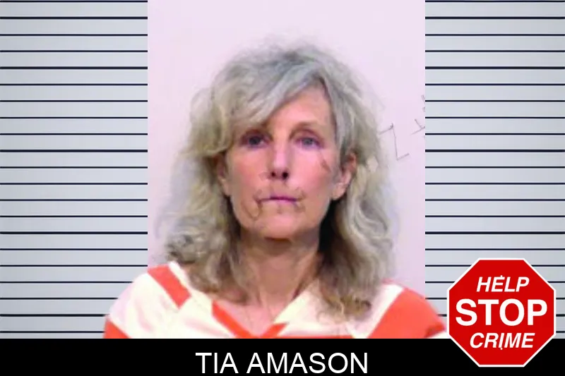 Tia Amason mugshot
