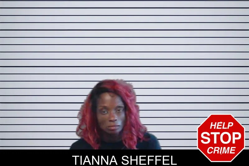 Tianna Sheffel mugshot