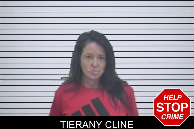 Tierany Cline mugshot