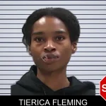 Tierica Fleming mugshot
