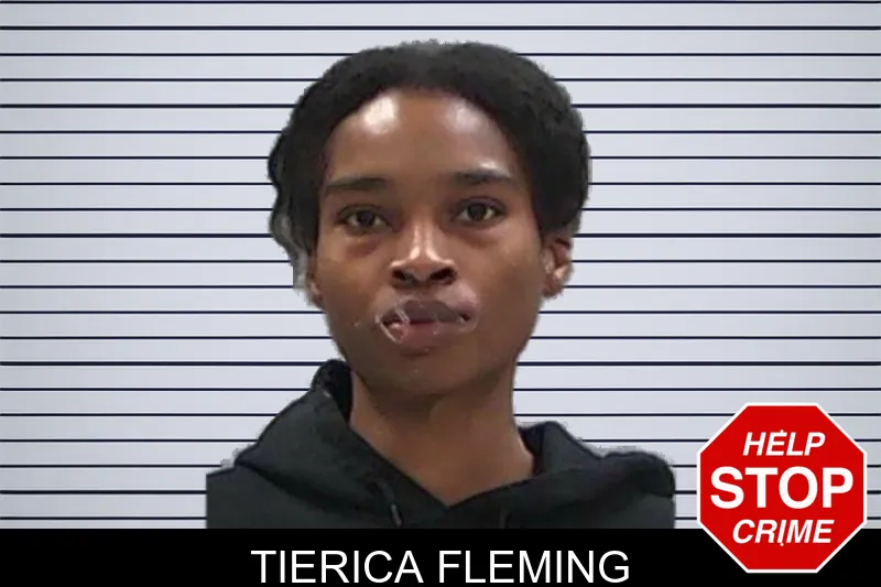 Tierica Fleming mugshot