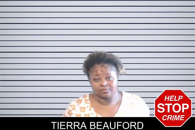 Tierra Beauford mugshot