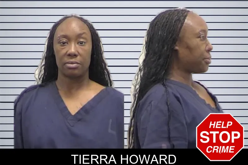 Tierra Howard mugshot