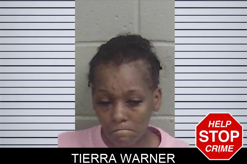 Tierra Warner mugshot
