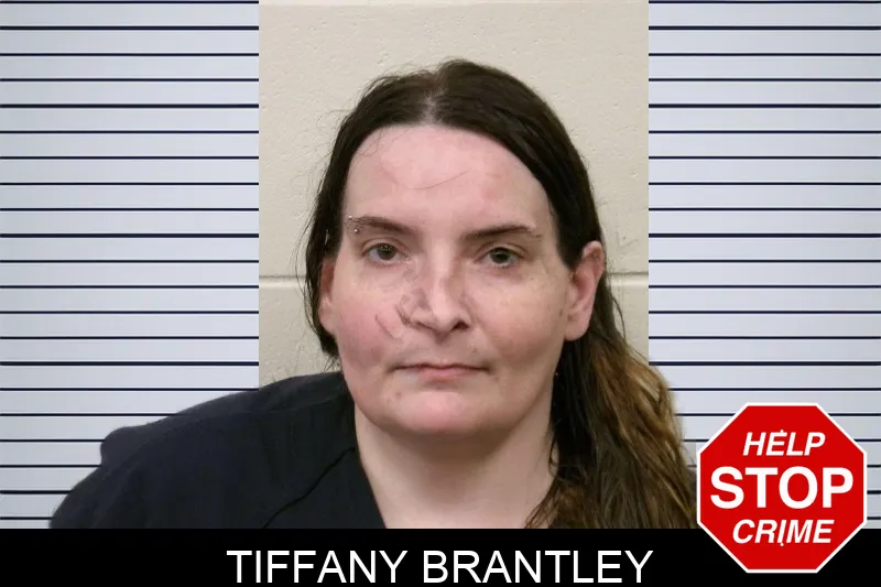 Tiffany Brantley mugshot