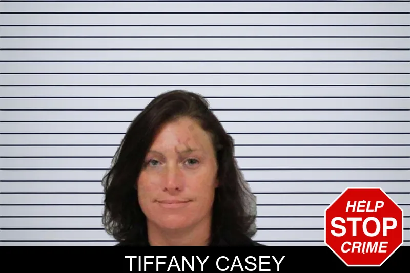 Tiffany Casey mugshot