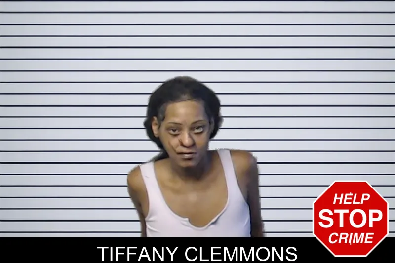 Tiffany Clemmons mugshot