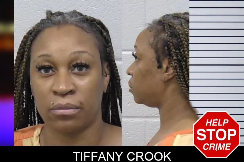 Tiffany Crook mugshot
