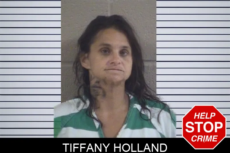Tiffany Holland mugshot