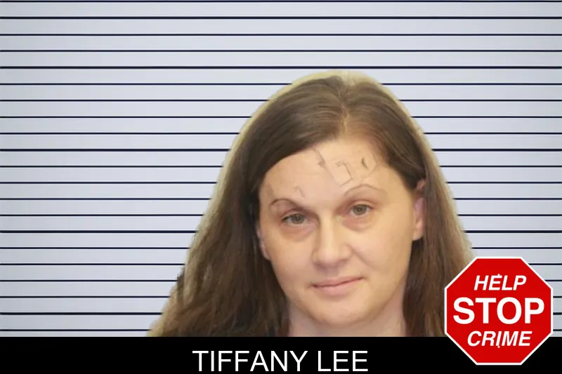 Tiffany Lee mugshot