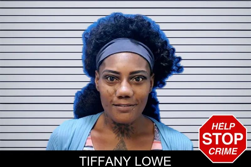 Tiffany Lowe mugshot