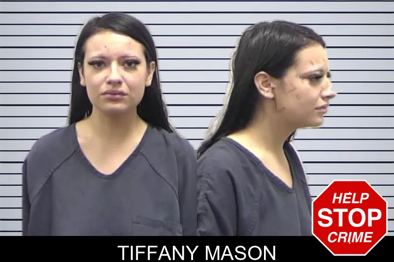 Tiffany Mason mugshot