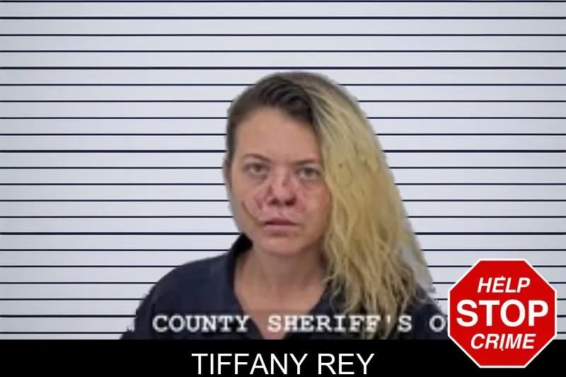 Tiffany Rey mugshot