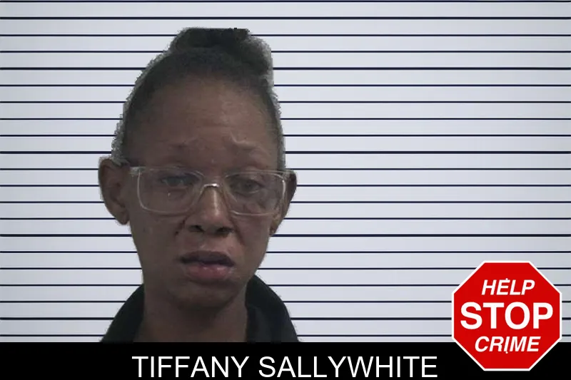 Tiffany Sallywhite mugshot