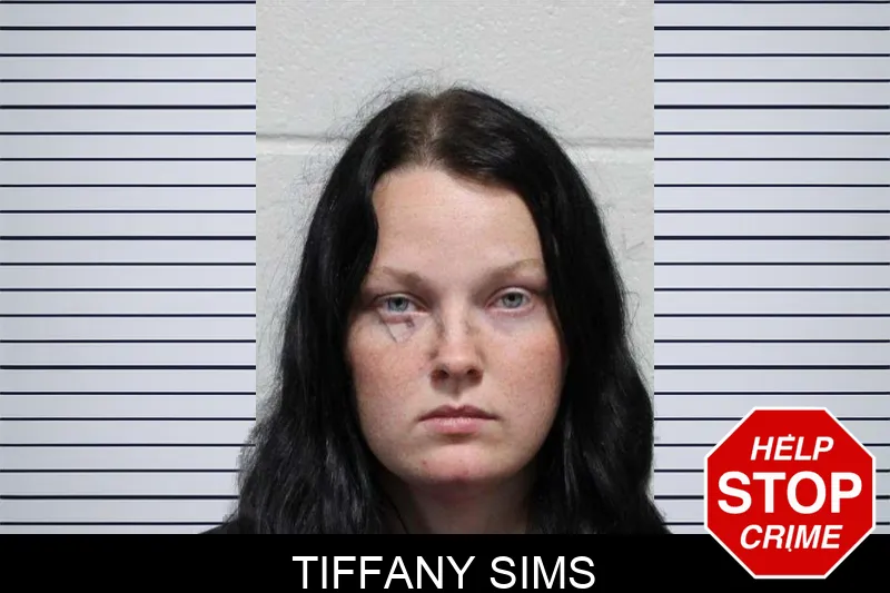 Tiffany Sims mugshot