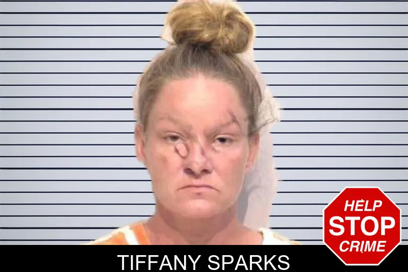 Tiffany Sparks mugshot