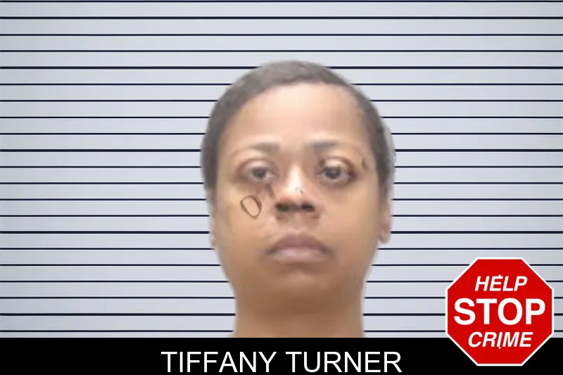 Tiffany Turner mugshot