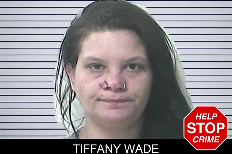 Tiffany Wade mugshot