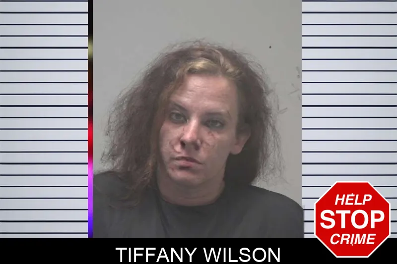 Tiffany Wilson mugshot