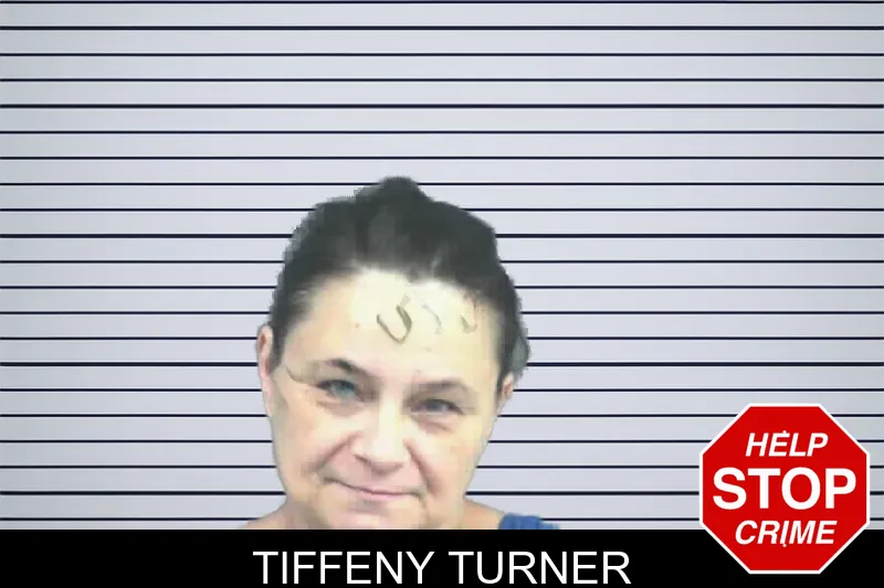 Tiffeny Turner mugshot