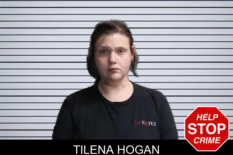 Tilena Hogan mugshot