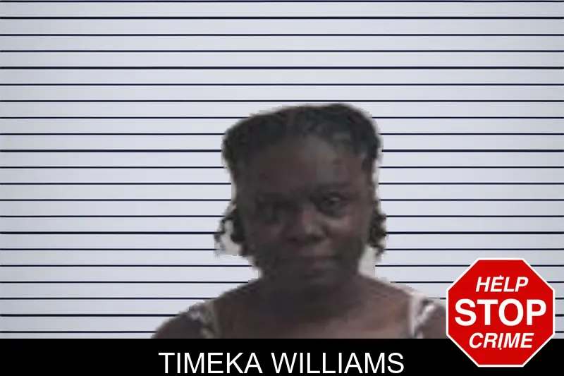 Timeka Williams mugshot