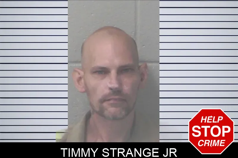 Timmy Strange Jr mugshot