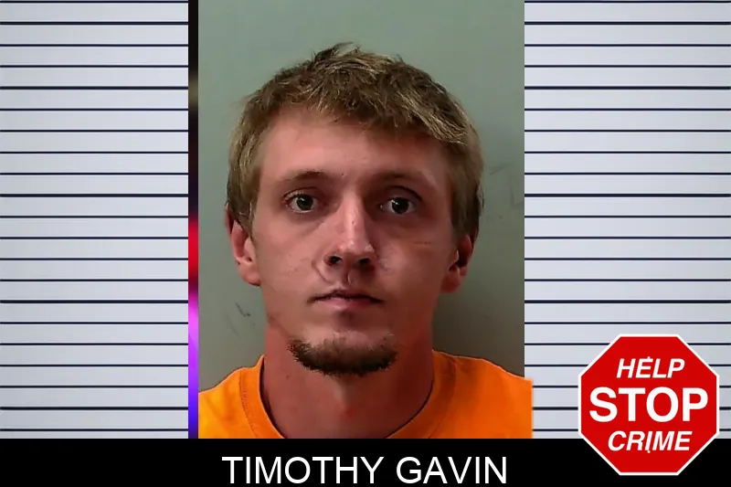 Timothy Gavin mugshot