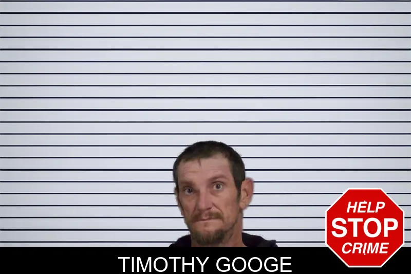 Timothy Googe mugshot