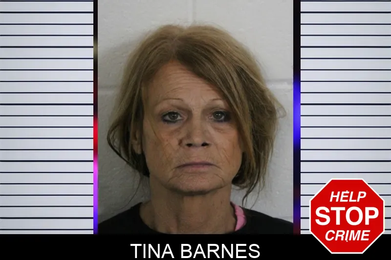 Tina Barnes mugshot