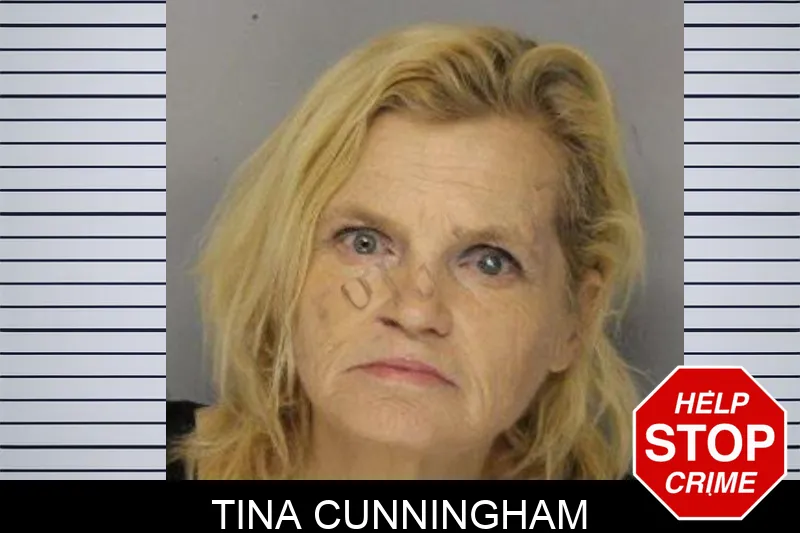 Tina Cunningham mugshot