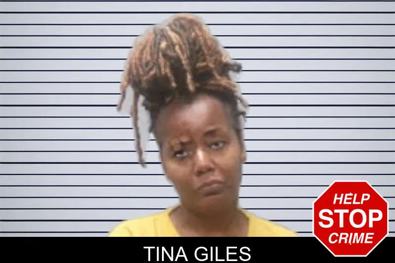 Tina Giles mugshot