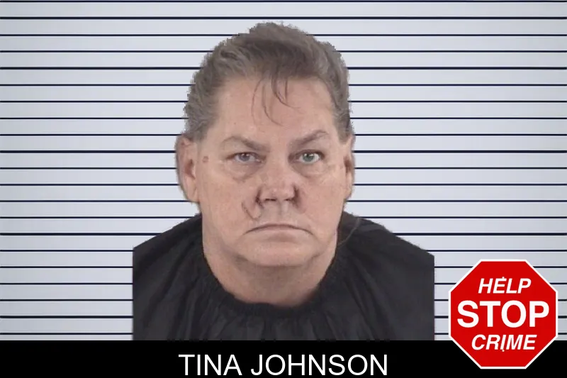 Tina Johnson mugshot