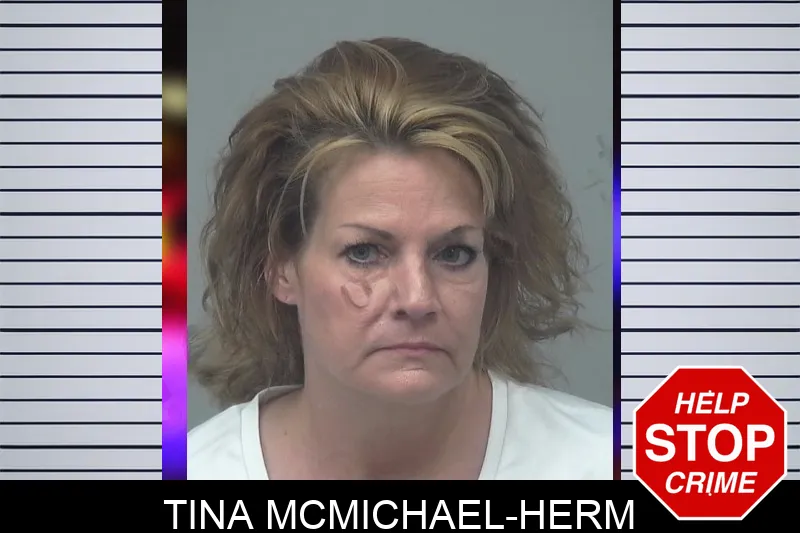 Tina McMichael-Herm mugshot
