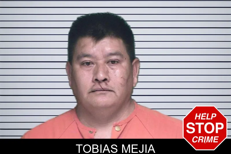 Tobias Mejia mugshot