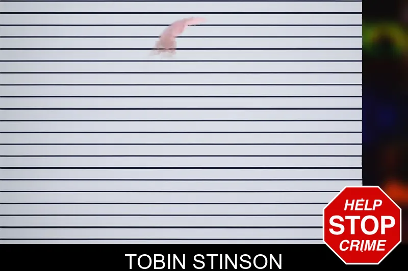 Tobin Stinson mugshot
