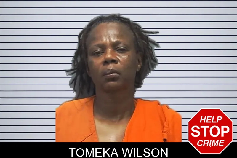 Tomeka Wilson mugshot
